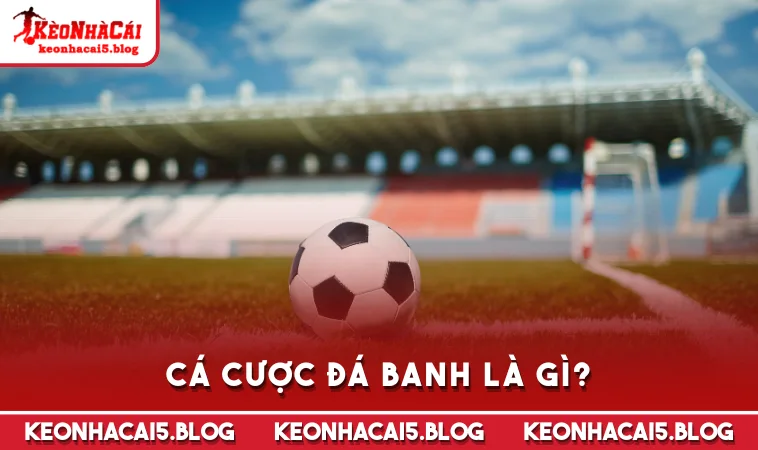 Cá cược đá banh là gì?