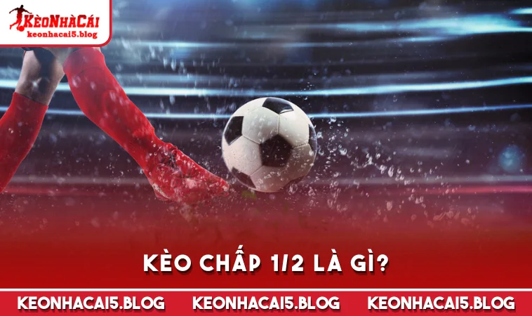 Kèo chấp 1/2 là gì?