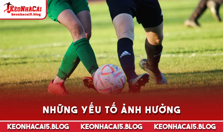 Những yếu tố ảnh hưởng