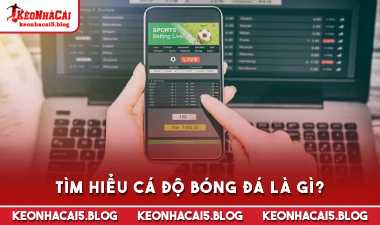 Tìm hiểu cá độ bóng đá là gì?